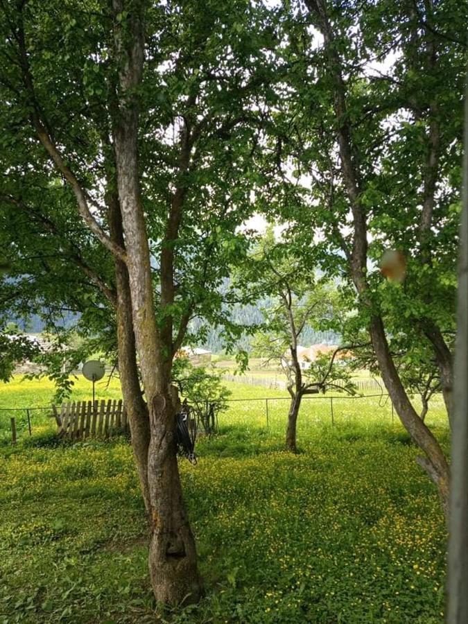 Shorena'S Homestay Tsvirmi المظهر الخارجي الصورة