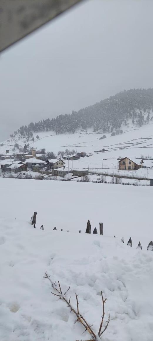 Shorena'S Homestay Tsvirmi المظهر الخارجي الصورة