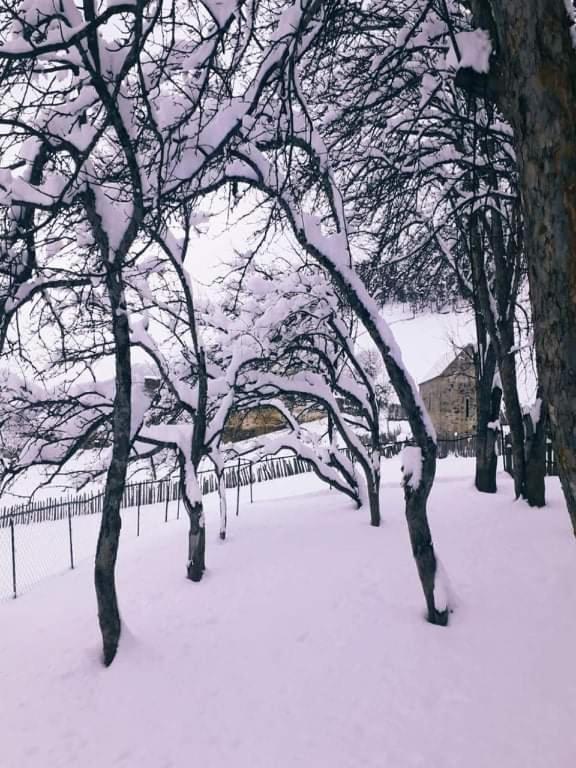 Shorena'S Homestay Tsvirmi المظهر الخارجي الصورة